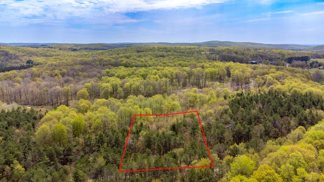 2171 Sanctuary Dr, Harbor Springs, MI 49740