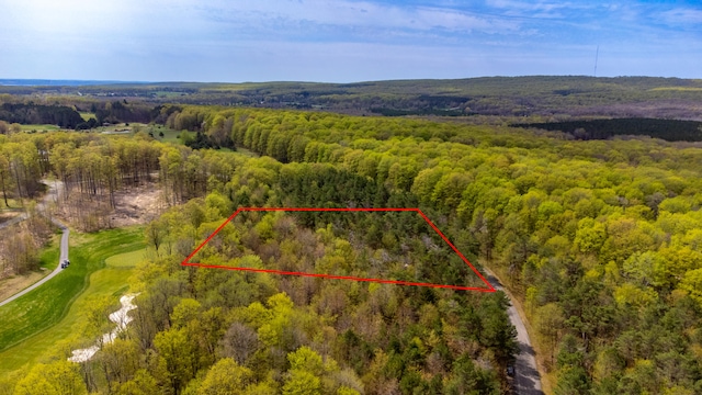 2171 Sanctuary Dr, Harbor Springs, MI 49740