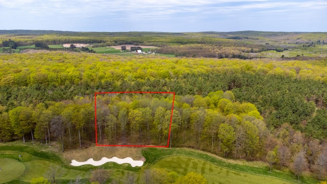 2171 Sanctuary Dr, Harbor Springs, MI 49740