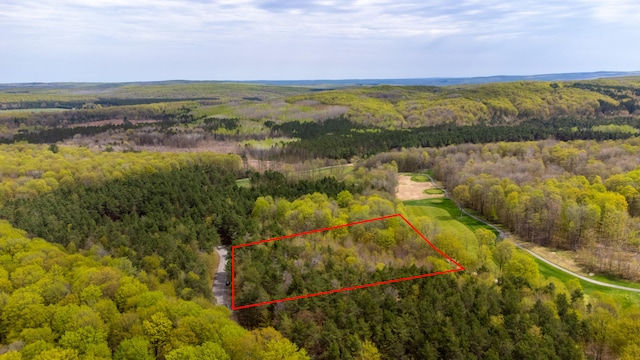 2171 Sanctuary Dr, Harbor Springs, MI 49740
