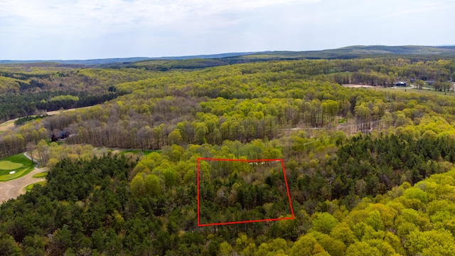 2171 Sanctuary Dr, Harbor Springs, MI 49740