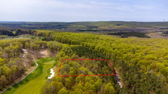 2171 Sanctuary Dr, Harbor Springs, MI 49740