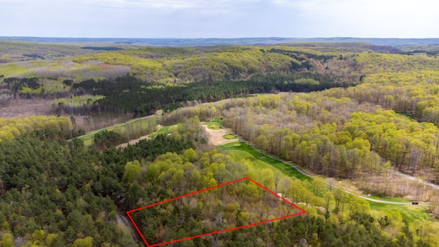 2171 Sanctuary Dr, Harbor Springs, MI 49740