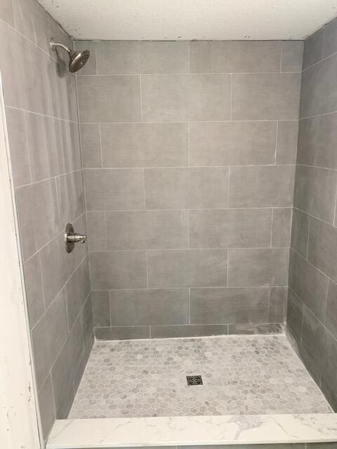 9319 Blue Horizon Rd, Presque Isle, MI 49777 - full bath with tiled shower