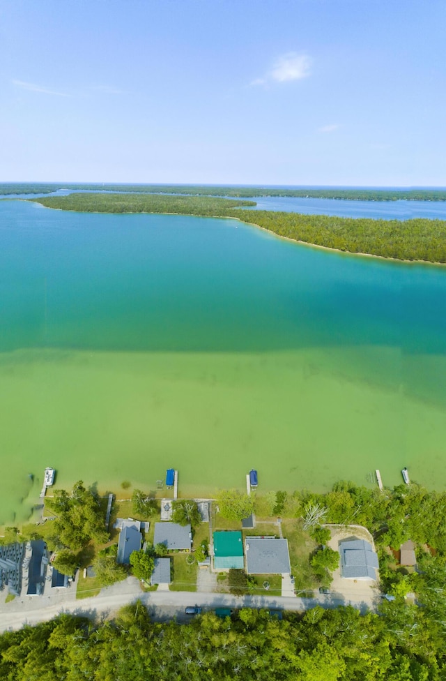 9319 Blue Horizon Rd, Presque Isle, MI 49777 - bird's eye view of a large body of water