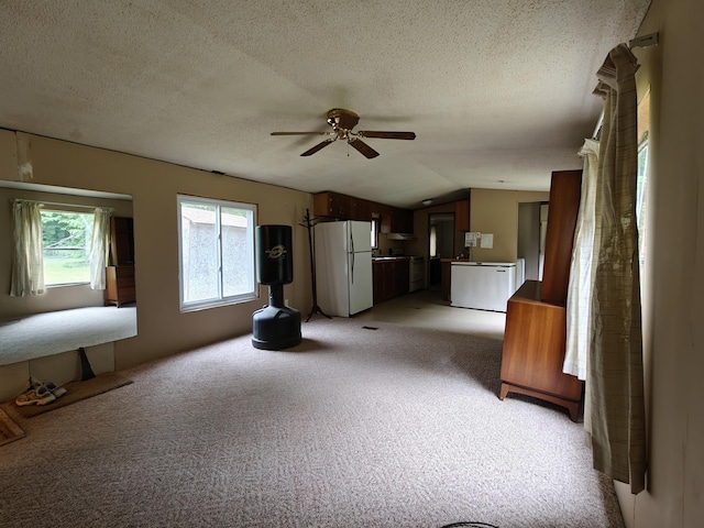 3178 Tobias Rd, Elmira, MI 49730 - unfurnished living room featuring ceiling fan, light carpet, a textured ceiling, and lofted ceiling