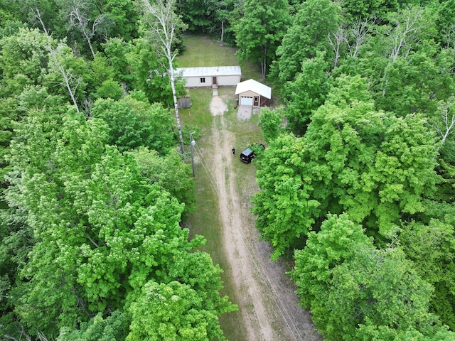 3178 Tobias Rd, Elmira, MI 49730 - view of subject property