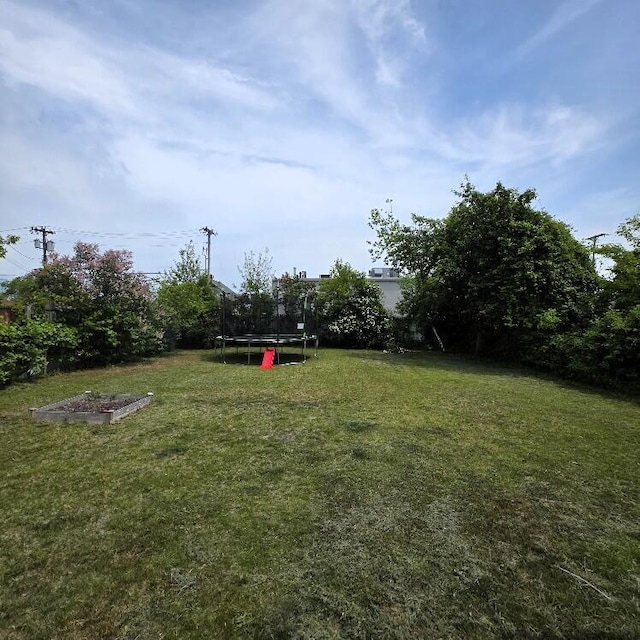 510 W Baldwin St, Alpena, MI 49707 - view of green lawn with a trampoline and a garden
