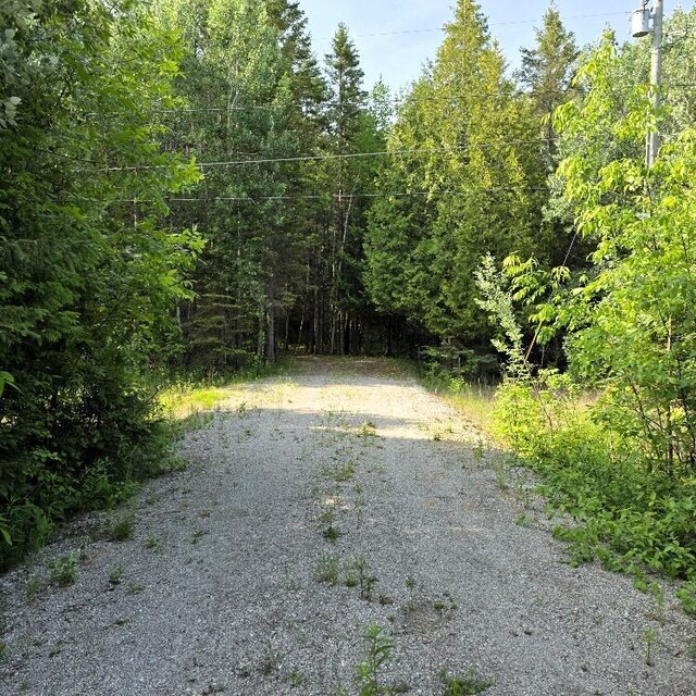 Martin Rd, Alpena, MI 49707 - photo 7