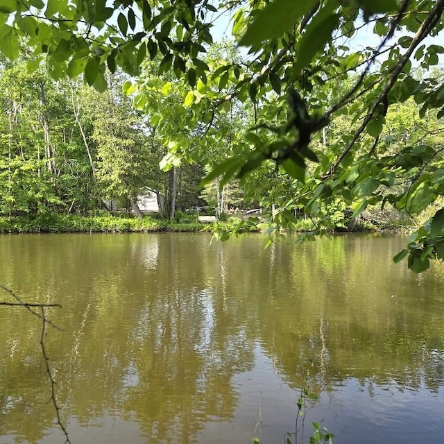 Martin Rd, Alpena, MI 49707 - photo 1