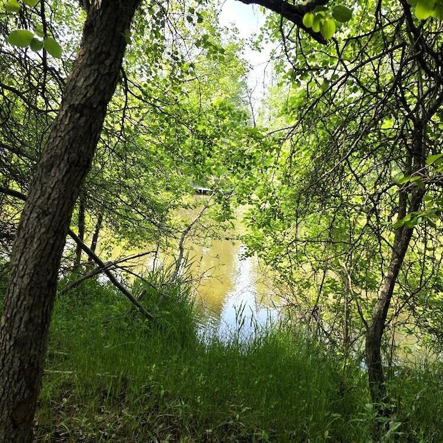 Martin Rd, Alpena, MI 49707 - photo 3