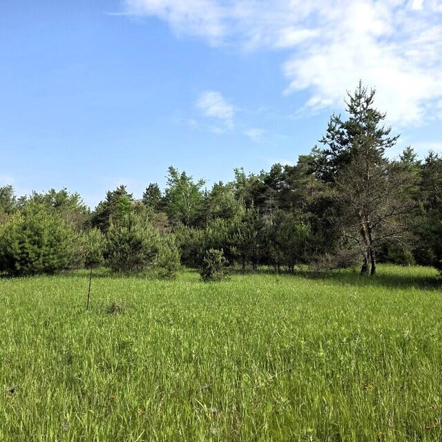 Martin Rd, Alpena, MI 49707 - photo 9