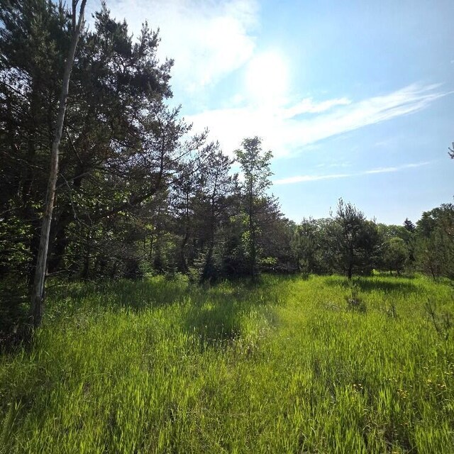 Martin Rd, Alpena, MI 49707 - photo 10