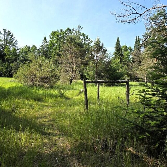Martin Rd, Alpena, MI 49707 - photo 11