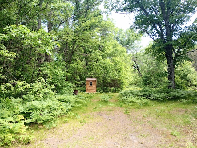 5228 S Brown Rd, Cadillac, MI 49601 - view of yard featuring a storage shed and a view of trees