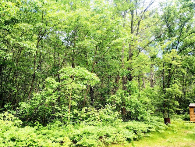 5228 S Brown Rd, Cadillac, MI 49601 - view of wooded area