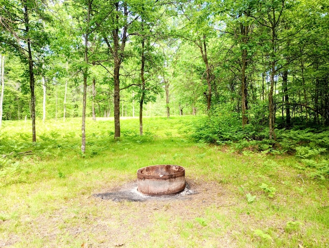5228 S Brown Rd, Cadillac, MI 49601 - view of yard with a fire pit and a wooded view