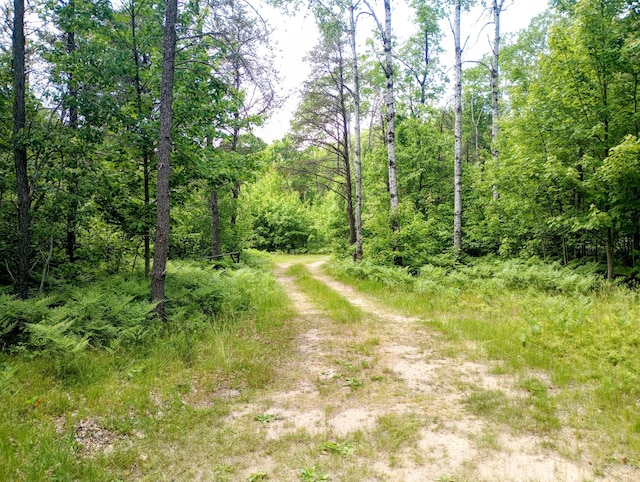5228 S Brown Rd, Cadillac, MI 49601 - view of street featuring a view of trees