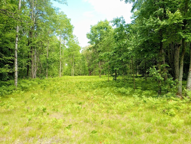 5228 S Brown Rd, Cadillac, MI 49601 - view of woods