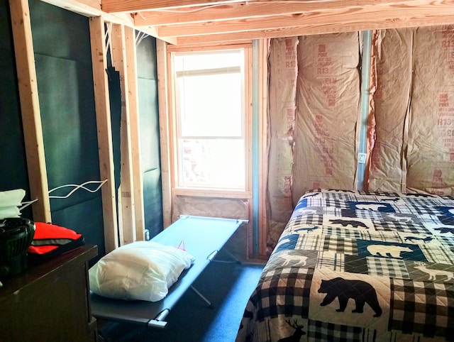 5228 S Brown Rd, Cadillac, MI 49601 - view of bedroom