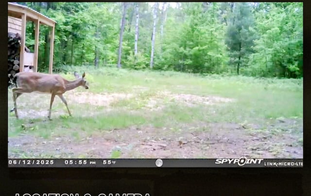 5228 S Brown Rd, Cadillac, MI 49601 - view of yard with a forest view