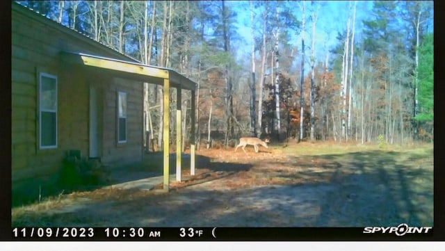 5228 S Brown Rd, Cadillac, MI 49601 - view of yard