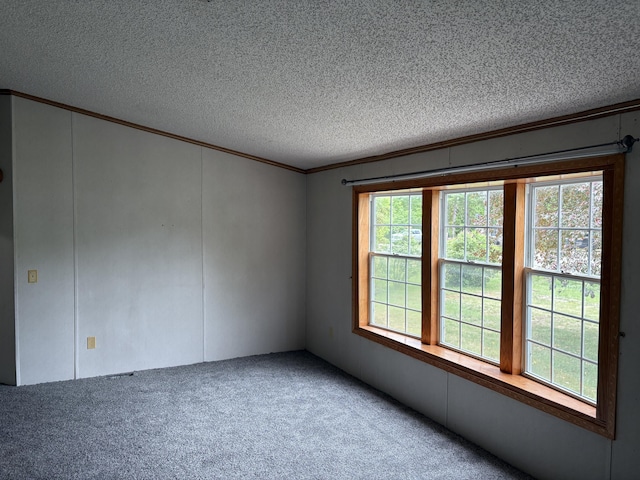 348 Lake Winyah Rd, Alpena, MI 49707 - unfurnished room featuring crown molding, a textured ceiling, and carpet