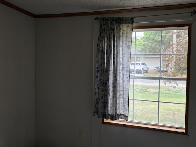 348 Lake Winyah Rd, Alpena, MI 49707 - detailed view of ornamental molding and a textured ceiling