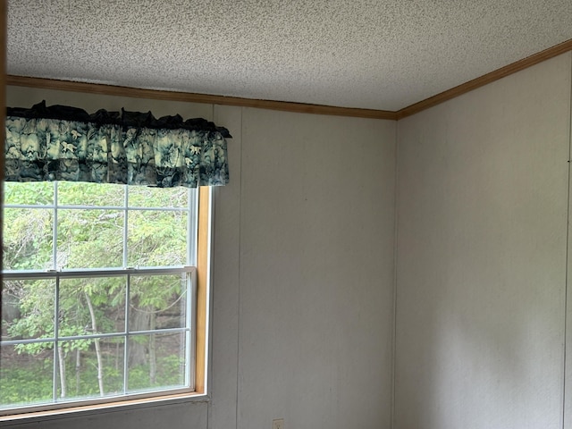 348 Lake Winyah Rd, Alpena, MI 49707 - empty room with a textured ceiling and ornamental molding