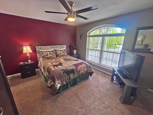 5514 N Bay Ct, Presque Isle, MI 49777 - bedroom featuring carpet, ceiling fan, and a textured ceiling