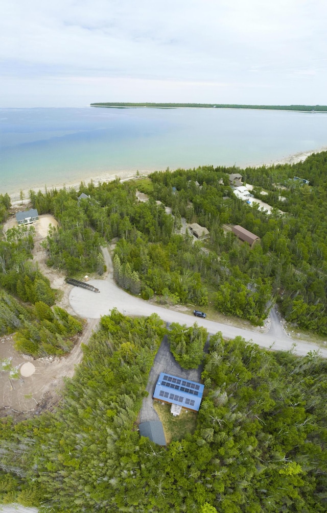 5514 N Bay Ct, Presque Isle, MI 49777 - drone / aerial view of a large body of water