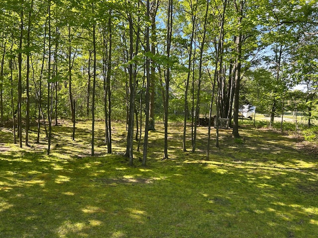 108 Bourbon St, Roscommon, MI 48653 - view of grassy yard