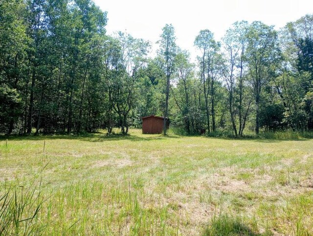 11858 Four Point Rd, Fife Lake, MI 49633