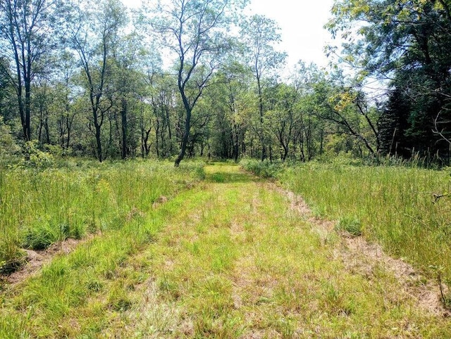 11858 Four Point Rd, Fife Lake, MI 49633