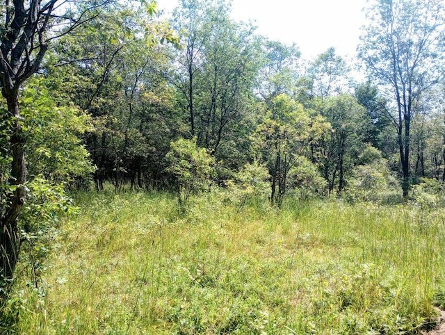 11858 Four Point Rd, Fife Lake, MI 49633