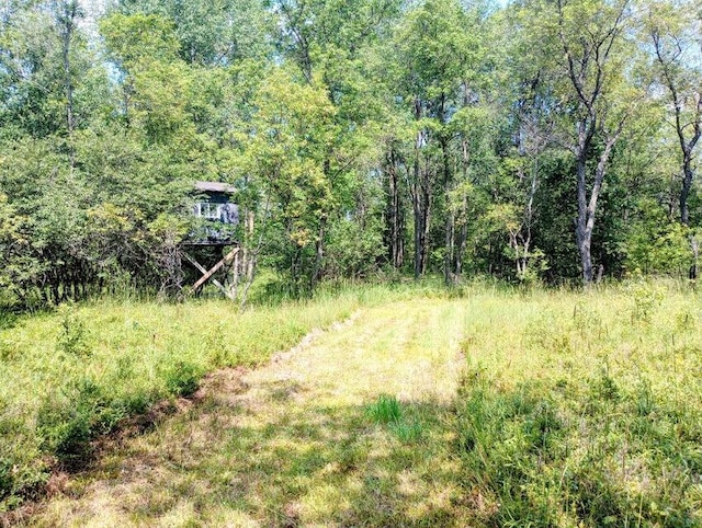 11858 Four Point Rd, Fife Lake, MI 49633