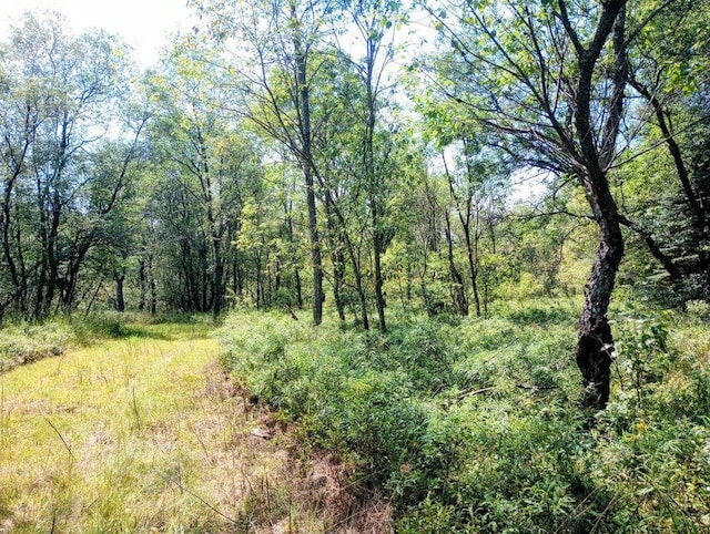 11858 Four Point Rd, Fife Lake, MI 49633