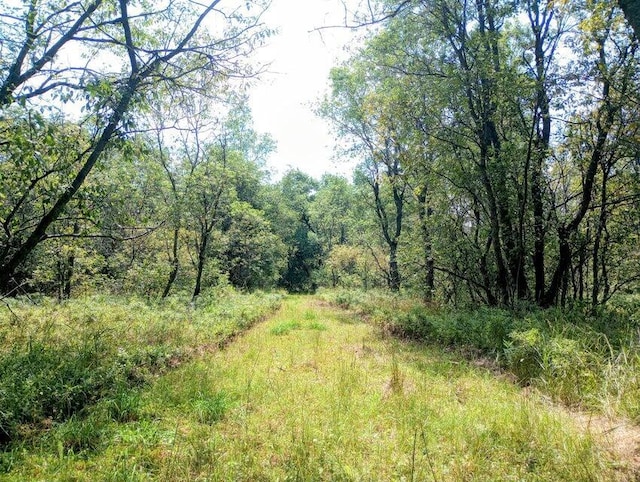 11858 Four Point Rd, Fife Lake, MI 49633