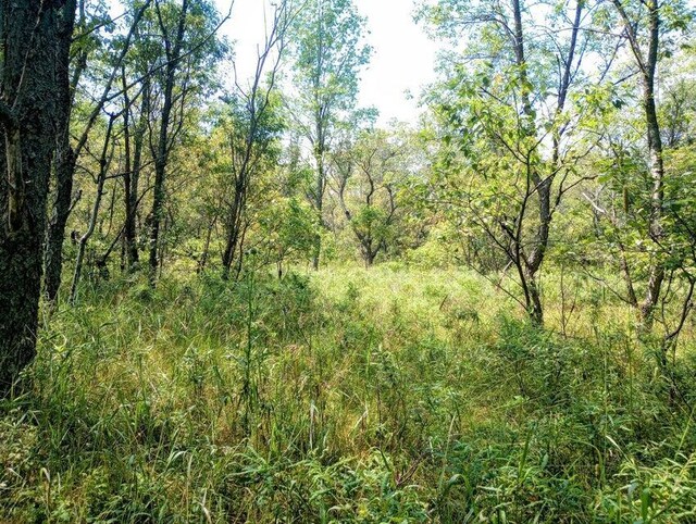 11858 Four Point Rd, Fife Lake, MI 49633