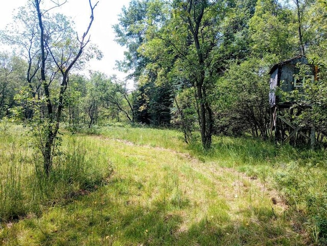 11858 Four Point Rd, Fife Lake, MI 49633
