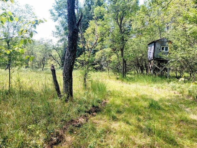 11858 Four Point Rd, Fife Lake, MI 49633
