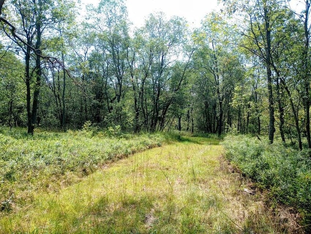 11858 Four Point Rd, Fife Lake, MI 49633