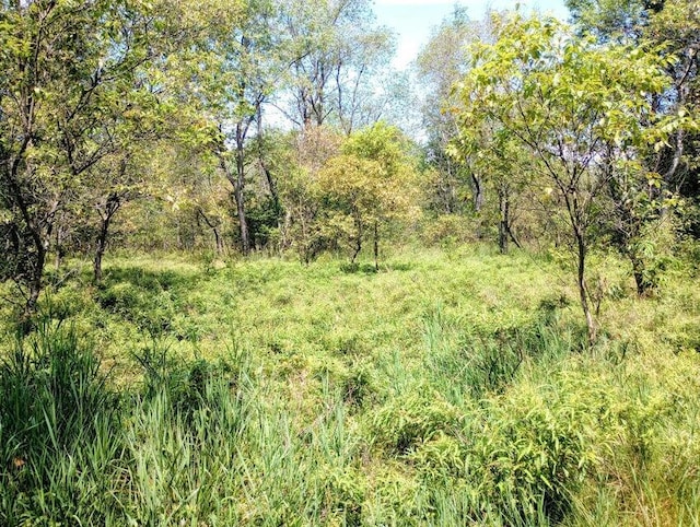 11858 Four Point Rd, Fife Lake, MI 49633
