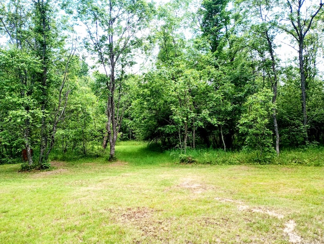 11858 Four Point Rd, Fife Lake, MI 49633