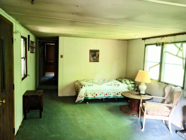 11858 Four Point Rd, Fife Lake, MI 49633