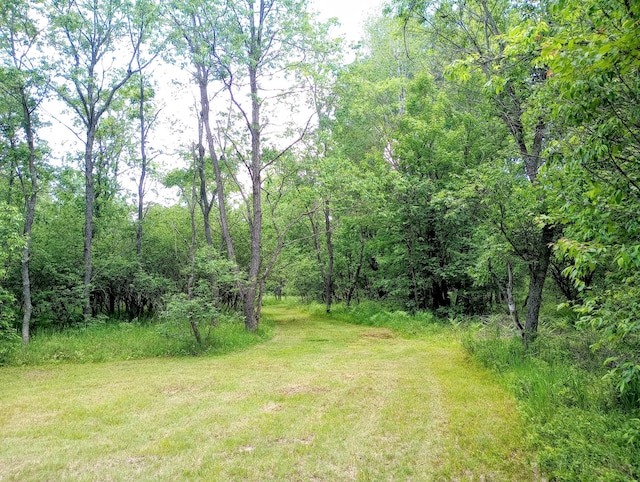 11858 Four Point Rd, Fife Lake, MI 49633
