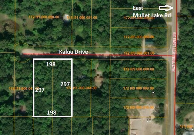 4593 Kalua Dr, Indian River, MI 49749 - photo 1
