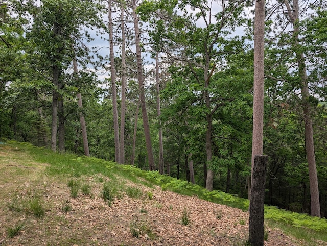 8021 Brown Bear Trl, Atlanta, MI 49709 - photo 35