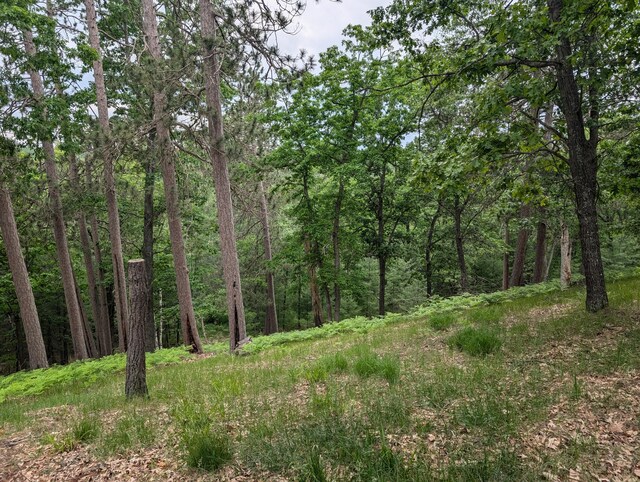 8021 Brown Bear Trl, Atlanta, MI 49709 - photo 36