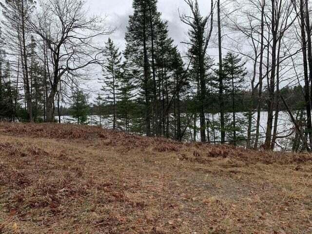 4175 Lake Bluff Dr, Alpena, MI 49707 - photo 8